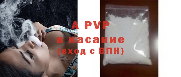 сатива Волоколамск