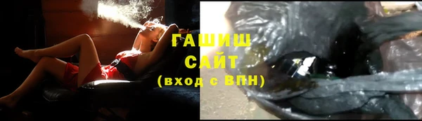 сатива Волоколамск