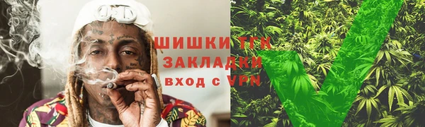 сатива Волоколамск
