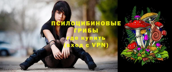 бошки Вязьма