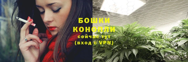 сатива Волоколамск